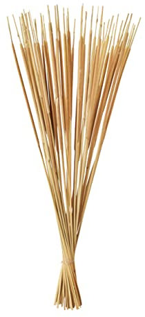 CHICCIE Rohrkolben getrocknet 50 im Bund 69cm - Trockenpflanzen