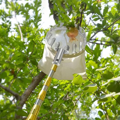 Recogedor de Frutas con Palo Telescopico 2-7M Recoge Frutas de Árboles, Recoge Frutas Telescopico con Palo Telescopico para Manzanas, Naranjas, Peras (Size : 6m(19.7ft))