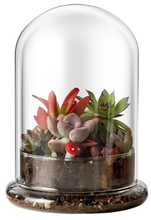CHGCRAFT Campana di Vetro con Base con foro permeabile 5,9 x 8,3 pollici cupola di vetro con campanello basato mostra piante raccogliere fiori tavolo collare decorazioni di festa