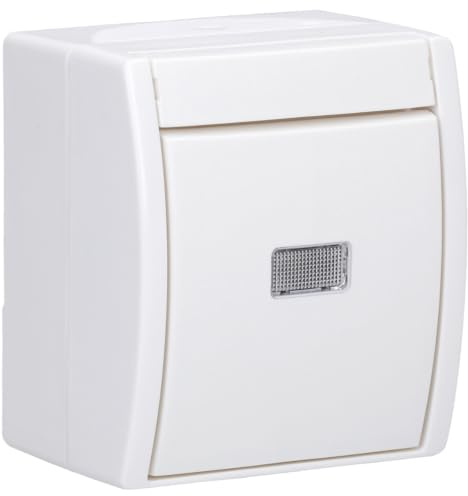 Busch-Jaeger 2621 W-54-206 Wipptaster
