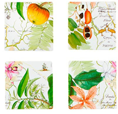 Vista Alegre Amazonia - Juego de 4 posavasos