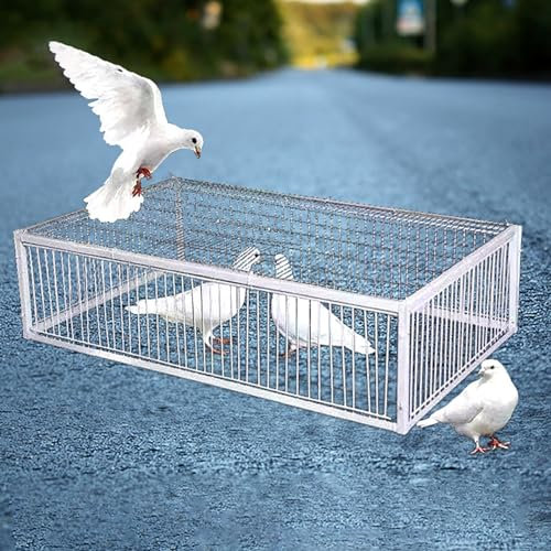 Hoixin Taubenfalle Fallenkäfig für lebende Tiere elsterfalle vogelfalle taubenfalle vogelfalle Mit 2 Einwegeingängen und Oberlicht Enge Abstände für einfache Montage und Reinigung(40x40x26cm)