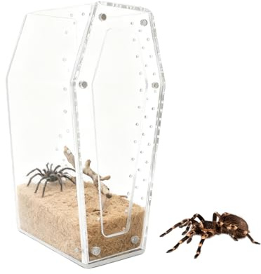 Xvilmaun Jumping Spider Terrarium,Genomskinlig Akrylhabitat För Groddjur,Liten Reptiluppfödningslåda - För Skötare Naturälskare Lärare Hobbydjurägare Skolprojekt