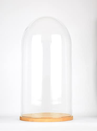 EMH Mundgeblasene Glasglocke, 71,5 x 30,5 cm, mit natürlichem Holzsockel