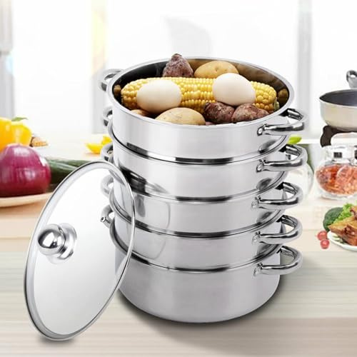 H-YEEU Vaporiera a 5 piani in acciaio inox (30 cm) con coperchio in vetro, pentola a vapore in acciaio inox, fornello a induzione, cestello per vapore, argento