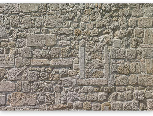 Murando® Papier peint intissé premium grand format 500 x 280 cm - Imprimé pierres HD de qualité F-a-0454-a-a, a, 500x280 cm - 10 Stripes