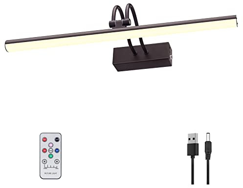 RAIFOOLLY Picture Light,5000mAh Battery Wall Sconce,16 Art Light,Bronze