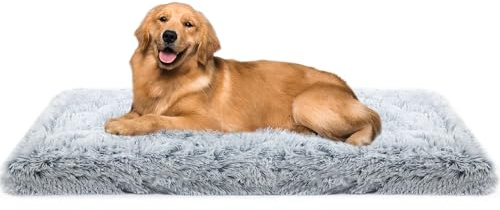 Hundebett für Großes Hunde 120 × 80 cm, Extra große Hundematte, Ombré-Grau | 10 cm Eierschaum, extra groß, weicher Langplüsch, waschbar, rutschfest, bis 45 kg