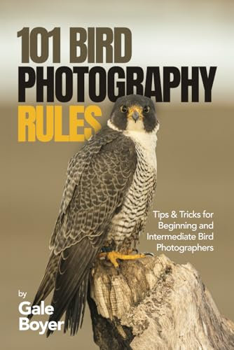 101 Bird Photography Rules: Tips & Tricks for Beginning and Intermediate Bird Photographers