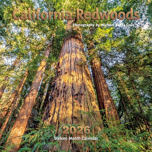 California Redwoods Calendar 2026