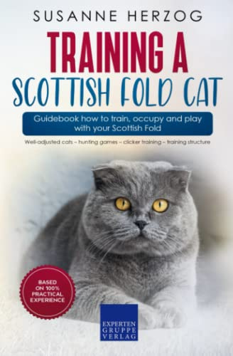 Training a Scottish Fold Cat – Guidebook how to train, occupy and play with your Scottish Fold: Well-adjusted cats – hunting games – clicker training – training structure