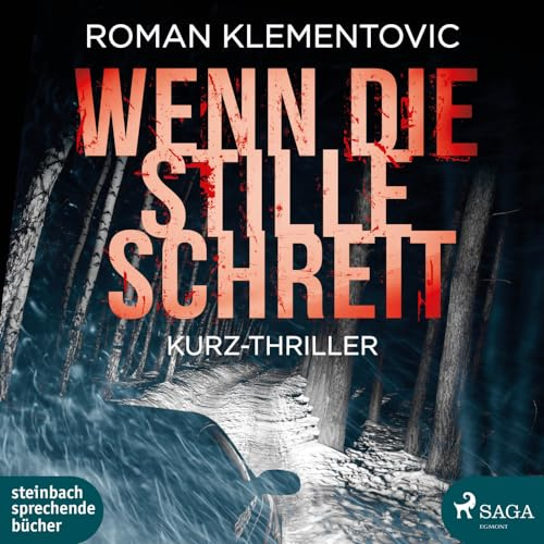 Wenn die Stille schreit: Thriller