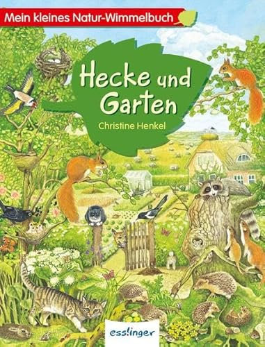 Mein kleines Natur-Wimmelbuch - Hecke und Garten