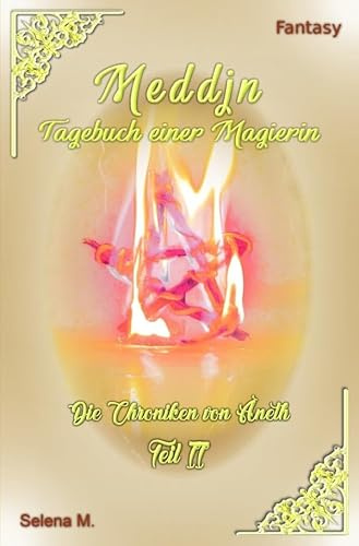 Die Chroniken von Aneth / Meddjn - Tagebuch einer Magierin