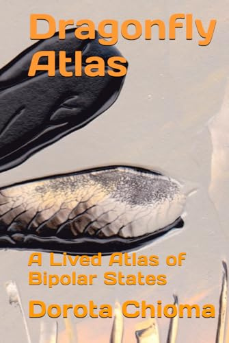 Dragonfly Atlas: A Lived Atlas of Bipolar States