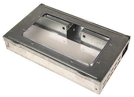 Flortis 1333200 Cattura Topi, Grigio