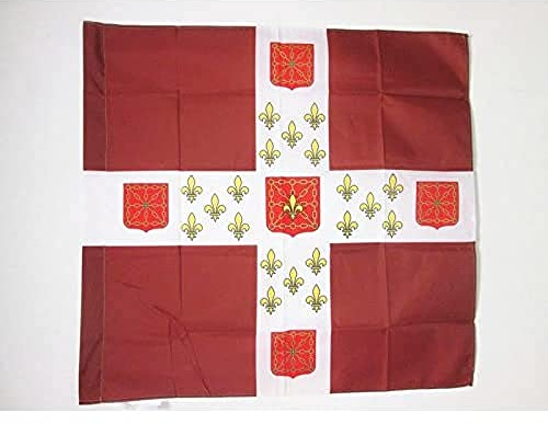 AZ FLAG Bandera del REGÍMEN INFANTERÍA Imperio FRANCÉS NAVARRA 1558-1793 90x90cm para Palo - Bandera Ejercito de Francia 90 x 90 cm