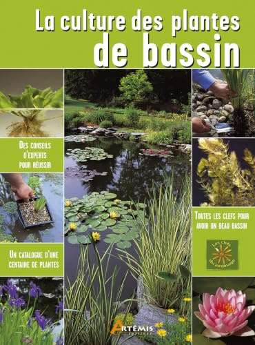 La culture des plantes de bassin