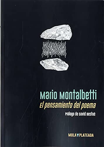 El pensamiento del poema: 5 (Mula Plateada)