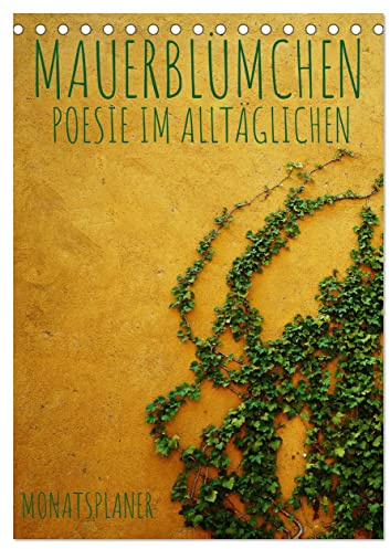 Mauerblümchen - Poesie im Alltäglichen als Monatsplaner (Tischkalender 2026 DIN A5 hoch), CALVENDO Monatskalender: Wer mit offenen Augen durchs Leben ... betrachten. (Khalil Gibran) (CALVENDO Natur)
