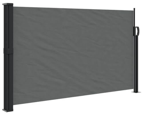 vidaXL Tenda da Sole Laterale Retrattile Antracite 117x300 cm