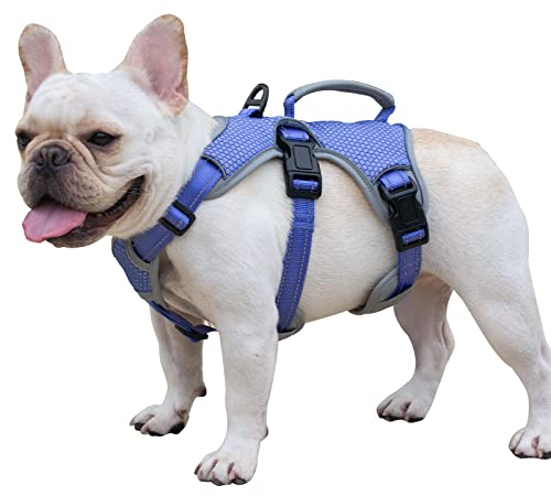 Huntboo Escape Proof Dog Harness, Escape Artist Harness, Reflective Dog Harness with Handle, Durable,Adjustable Vest for Small Medium Large Dogs Walking, Training, and Running Gear(Technicolor Blue,S)