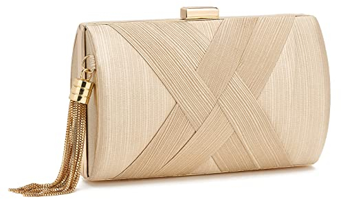 ZOUIQSS Damen Clutch Abendtasche Fransen Elegante Kettentasche Tasche Clutch Bag,Hochzeit Wedding Prom Party Handtasche Crossbody Schultertasche klein Umhängetasche(Champagner)