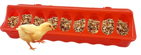 para Gallinas Sin Desperdicio | para Gallinero | Bandeja con Agujeros para Alimentar Patos Codornices Palomas En Interiores Y Exteriores