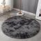 HARESLE Teppich Flauschig,Waschbar Teppich Wohnzimmer,Kleiner Teppiche Bettvorleger Schlafzimmer,Hochflor Teppiche Kinderzimmer,rutschfest Tepich Weich für Büro (Dunkelgrau,60cm/24 Zoll)