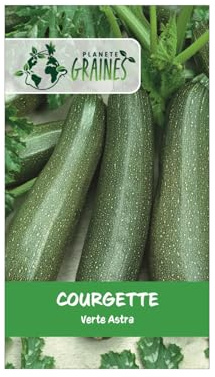 5 Graines de Courgette Verte Non Hybride - Variété Coureuse et Productive