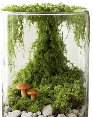 Muschio artificiale per artigianato, 300 g, realistico, finto muschio per artigianato, per piante grasse, vaso, terrario, acquario, parete, casa, Natale, matrimonio, vacanze, autunno inverno