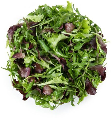 Semi MISTICANZA In Busta Ermetica MADE IN ITALY Qualità superiore con 95% di germogliazione con istruzioni