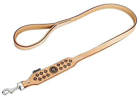 MICHUR Diego Hundeleine Leder Beige, Flachleine, 150cm x 2,5cm | Lederleine, Hund, Passend zum Halsband Diego Braun Beige Gold