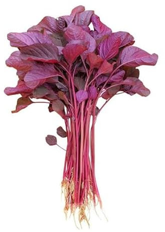 Red Spinach Seeds, Amaranth, Lal Shak 3.5g