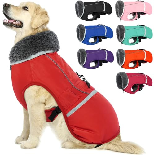QBLEEV Manteau d'hiver avec Doublure épaisse en Polaire, réfléchissant, Chaud et imperméable, col roulé, pour Chien de Petite, Moyenne et Grande Taille, Taille L