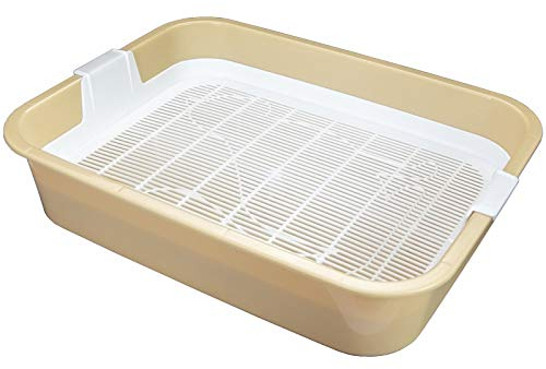 Erste Katzentoilette Schalentoilette Katzenklo - perfekt für Kätzchen Katzenbabys Junge Katzen - WC Tray mit Reinigungssieb - stubenrein auch ohne Katzenstreu - Verfügbar in Grau - Grün - Braun