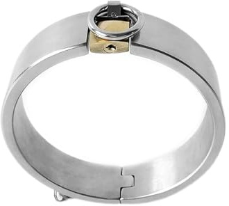 Fetisch Metal Halsband/Halsreif/Halskette für Paare, Bondage Edelstahl SM Sex-Halsbänder mit O-Ring Zurückhaltung Folter/Fetisch/Sklave Collar Sexspielzeug,Silber,Female