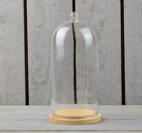 EMH Cloche dôme en verre avec bouton et socle en bois naturel 21,5 x 10 cm