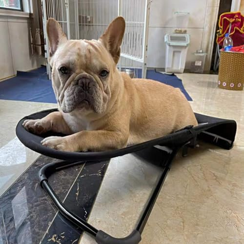 Amaca per cani a dondolo, portatile, per interni, con altezza regolabile, in rete di poliestere traspirante, per cani di piccola taglia, design confortevole a dondolo