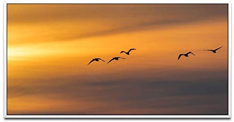 Vögel im Himmel ca. 130x70cm Wandbild inklusive Schattenfugenrahmen weiss - Panorama Leinwand Bild XXL Format Wandbilder Wohnzimmer Wohnung Deko Kunstdrucke