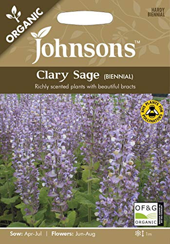 Johnsons Seeds Clary Sage Organic Seed