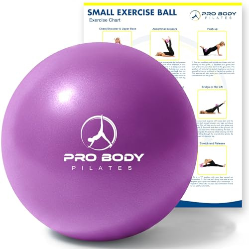 ProBody Pilates Small Exercise Ball, 9 Inch Mini Soft Yoga Ball for Stability, Barre, Ab, Core, Physio and Physical Therapy at Home Gym & Office (Purple)
