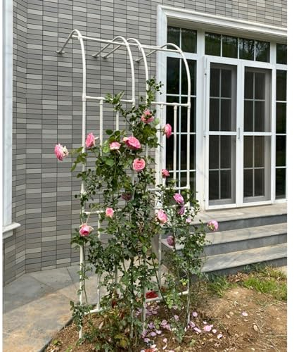 Gurkenspalier 2 Stück Metall Halbbogen Garten Spalier, Gartenlaube für Kletterpflanzen Rosen Weinreben Blumen, Rasen HinterhofBrautparty Dekoration Einfache Montage ( Color : White , Size : Width from