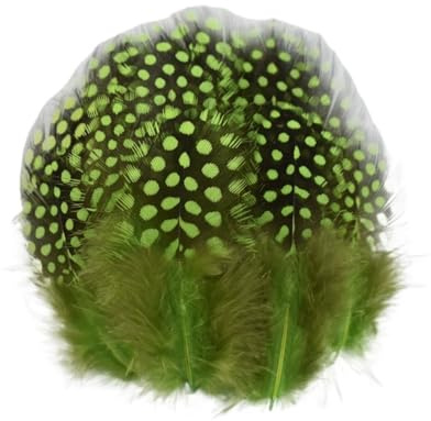 Création de bijoux en plumes de poulet sauvage, artisanat de broderie de plumes colorées, décorations de vacances, 20 pièces/lot 5-10cm(Apple green)