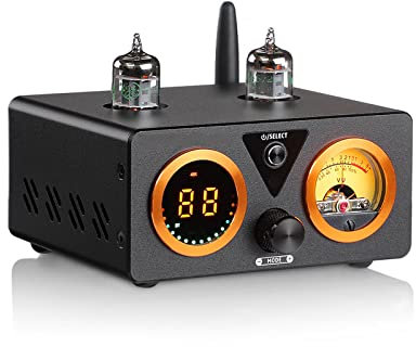 Amplificatore di Potenza a valvole da 100 W, Telecomando + Bluetooth 5.1 Amplificatore HiFi Multifunzionale ad Alta Potenza con Display Digitale, può Essere collegato a subwoofer Attivo/Altoparlante