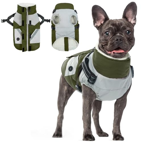 Hundemantel XS Mit Geschirr - Wasserdichter, Winddichter Welpenjacke - Gefütterte Winterjacke Regenbekleidung für Kleine Hunde (Armeegrün, XS)
