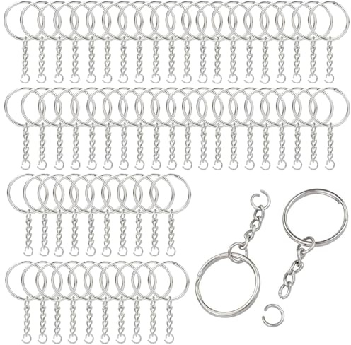 60Stück 25mm Schlüsselanhänger, Schlüsselring Edelstahl Schlüsselring, Karabiner Schlüsselanhänger,Kette Schlüsselanhänger mit Spaltringe für Schlüssel Handwerk DIY, Basteln (Silber)