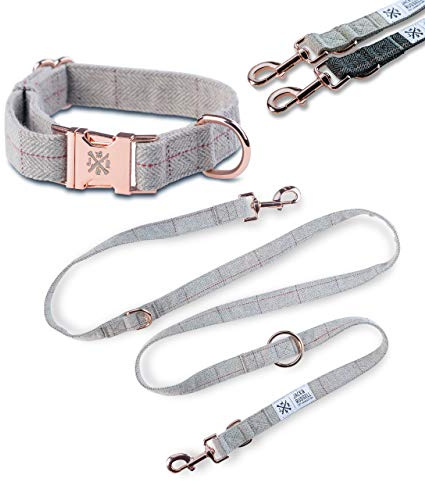 Jack & Russell Tweed Set Hundeleine 2,0m + Halsband mit roségoldenen Karabiner - Hundeleine elegant mehrfach verstellbar (S/M, Grau-Meliert)