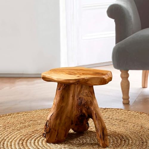 Greenage Cedar Roots Mushroom Accent Stool 12 x 15 x 13.5 Height Natural Wood Side Table Home Décor Rustic Plant Stand Accent Tree Stump Stool End Table for Living Room Live Edge Table