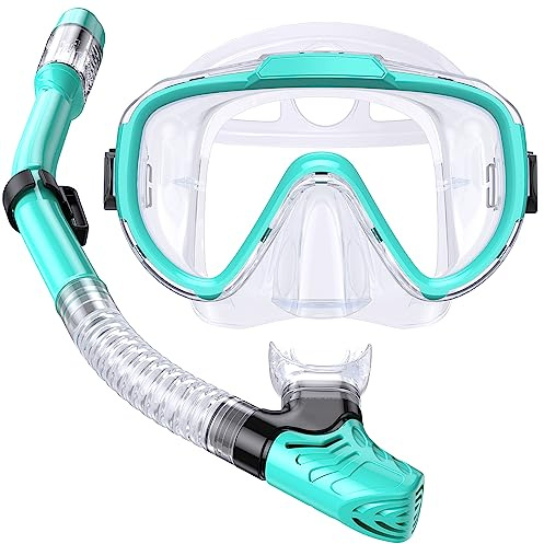 Seovediary Kids Snorkel Set, Anti-Fog Panoramic Tempered Glass Kids Snorkel mask, Anti-Leak Scuba Diving Mask with Mesh Bag, Dry Top Snorkeling Gear for Kids and Youth Age 4-16
